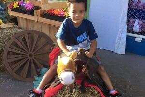 Criança de 6 anos é atropelada por carreta e morre