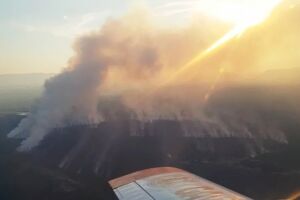 INCÊNDIO: Bombeiros tentam controlar fogo no Pantanal