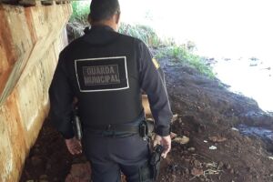 Corpo achado debaixo de ponte é de indígena desaparecido em Dourados
