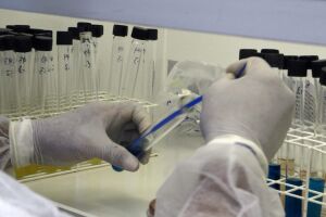 Laboratório é interditado por exames de covid-19 com resultados falsos em Campo Grande