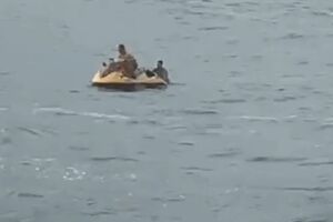 Homem atende pedido de idosa, pula na água e salva cachorrinho que se afogava