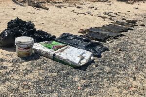 Manchas de óleo voltam a aparecer em praias do nordeste, diz Marinha