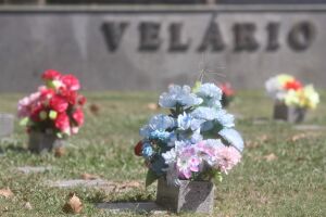 TRAGÉDIA: Brasil tem mais 1.290 falecimentos por causa da covid-19