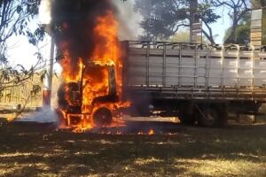 Caminhão boiadeiro pega fogo e bovino quase morre em Chapadão do Sul