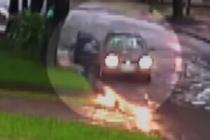 Bebê de cinco dias é abandonado em caixa de papelão; carro foi flagrado