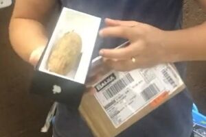 Cliente compra celular e recebe mandioca na caixa do aparelho