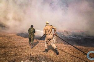 Verbas do Ibama e ICMBio são desbloqueadas e combate ao fogo no Pantanal prossegue