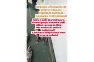 Defensores do cota zero atacam turista que participou de pescaria autorizada pela PMA