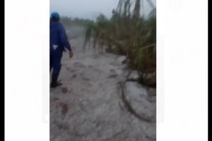 VÍDEO: canavial é destruído e fica forrado de granizo em Rio Brilhante