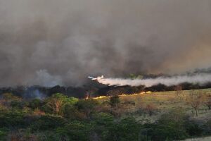 Força-tarefa intensifica combate a incêndios florestais em Alcinópolis e Costa Rica