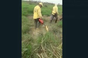 Brigadista alvo de fake news esclarece 'queimada proposital' no Pantanal de MT