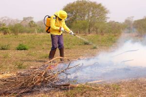 Brigadas comunitárias são treinadas para ajudar no combate às queimadas no Pantanal