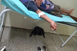 Enfermeiro se comove ao ver cão lutar para ficar com dono internado em Anastácio