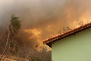 Combate às queimadas no Pantanal ganha reforço de 120 brigadistas e bombeiros