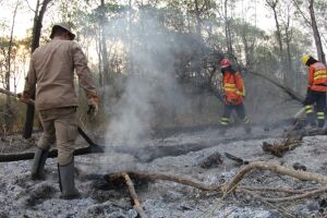 Pantanal: bombeiros fazem intenso combate às queimadas no Porto da Manga