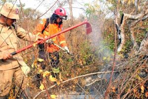 Sem provas, ministro do Meio Ambiente diz que culpa de queimadas é de MS