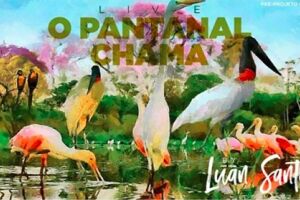 Luan Santana anuncia live direto do Pantanal: 'quero mostrar o que está acontecendo'