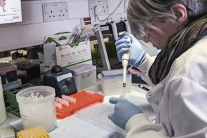 Laboratórios começam a definir preço de vacinas da covid-19