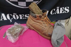 Na sola da bota: jovem é encontrado com porções de maconha  dentro do sapato