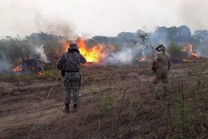 MS completa 43 anos com uma das maiores queimadas da história do Pantanal