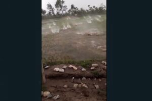 VÍDEO: queda de granizo pareceu mais tiroteio e bomba na sede do Cotolengo MS