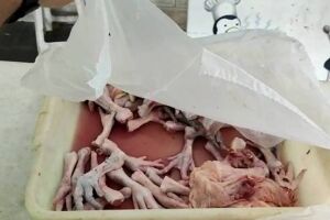 Empresário é preso suspeito de vender carne pombos em vez de frango no RJ