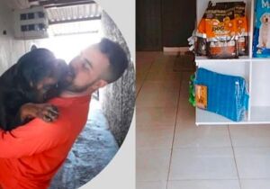 Dono de pet shop dá 'presentão' para cães de rua e fica famosinho no Tijuca 