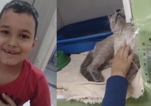 Coração de vó dói ao ver neto chorar para gato voltar; tratamento custou R$ 4,3 mil 