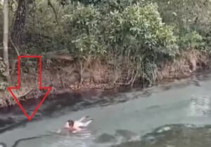 Turista tromba com sucuri e vira 'nadadora olímpica' para sair de rio em Bonito (vídeo)
