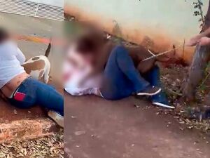 Gravação tem mais de 4 minutos; situação é desesperadora, com tutora no chão tentando separar os animais