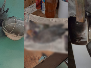 Raios tamb&eacute;m atingiram galhos de &aacute;rvores e parte do bairro esta sem luz; cano de &aacute;gua tamb&eacute;m foi atingido