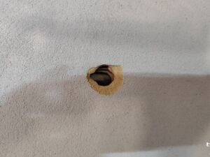  Um dos tiros atravessou a porta e atingiu o jovem nas costas