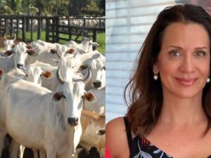 Dona de gr&aacute;fica foi presa com fam&iacute;lia