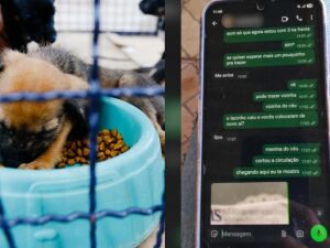 Imagem Ilustrativa/Conversa entre tutora e pet shop cedida ao TopM&iacute;diaNews