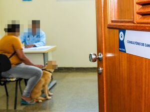 Licita&ccedil;&atilde;o foi declarada deserta
