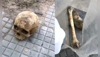 Polícia analisa ossada humana encontrada próximo de cemitério em Corumbá