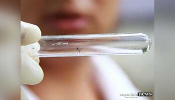 Bebê morre vítima de dengue em Mato Grosso do Sul