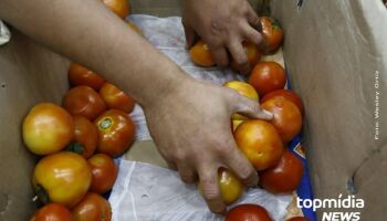  tomate e cebola ajudaram inflação subir em Campo Grande