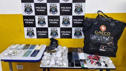 A&ccedil;&atilde;o coordenada envolve investigadores de Mato Grosso do Sul, Santa Catarina, Rio Grande do Sul, Paran&aacute;, S&atilde;o Paulo e Minas Gerais