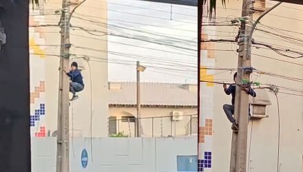 O suspeito fugiu ao perceber que estava sendo filmado