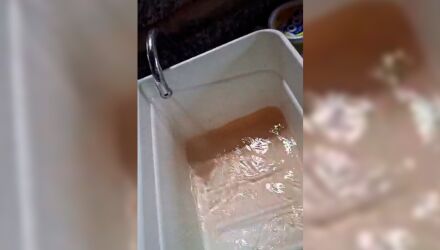 Cleonice Damazio afirma que &aacute;gua suja chegou &agrave;s caixas de armazenamento da casa e cobra provid&ecirc;ncias para limpeza dos reservat&oacute;rios