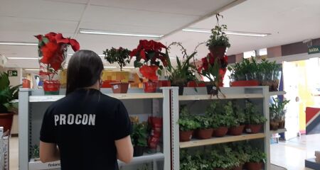 O buquê com 12 rosas colombianas pode custar até R$ 350 em Campo Grande