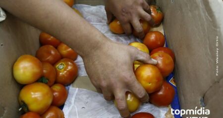 Preço do tomate caiu em Campo Grande