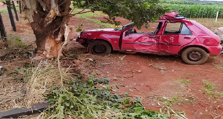 Carro colidiu contra árvore e ficou parcialmente destruído 