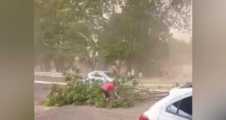 Árvore caiu em cima de motociclista em Ponta Porã