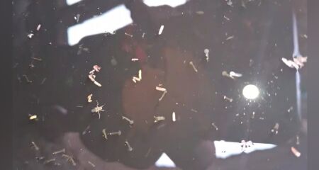 Bueiro está infestado de larvas do mosquito da dengue 