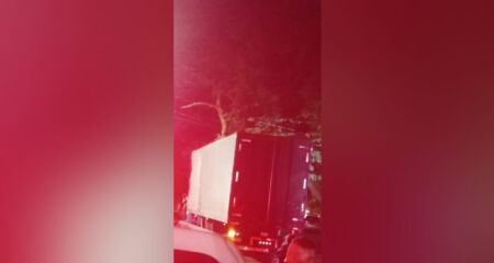Caminhão ficou enroscado nos galhos da árvore