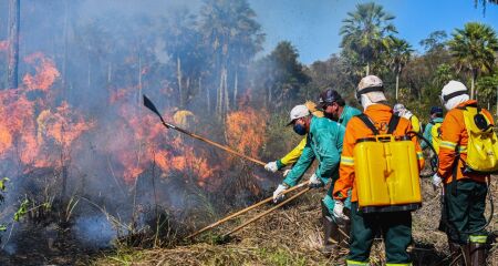 Incêndios no Pantanal são investigados, a fim de se chegar à autoria