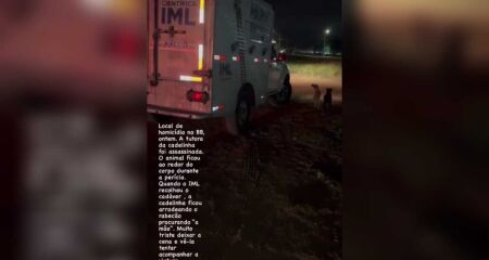 "Quando o IML recolheu o cadáver, a cadelinha ficou rodeando o rabecão, procurando 'a mãe'. Muito triste deixar a cena e vê-la acompanhar a viatura", escreveu o delegado em sua rede social.
