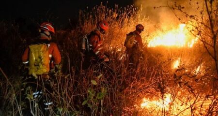 Bombeiros durante combate a incêndio no Pantanal